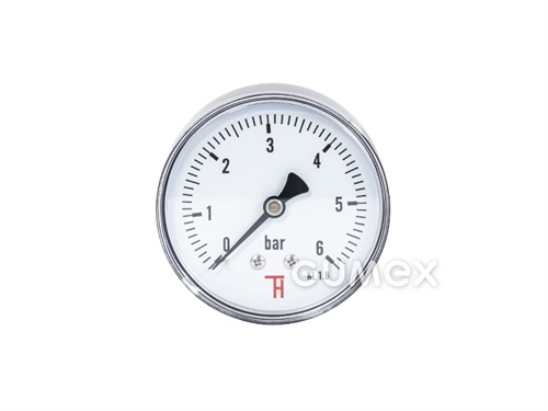 Standard Manometer mit dem Anschluss hinten, 63mm, Außengewinde G 1/4", 0-6bar, -40°C/+60°C, 